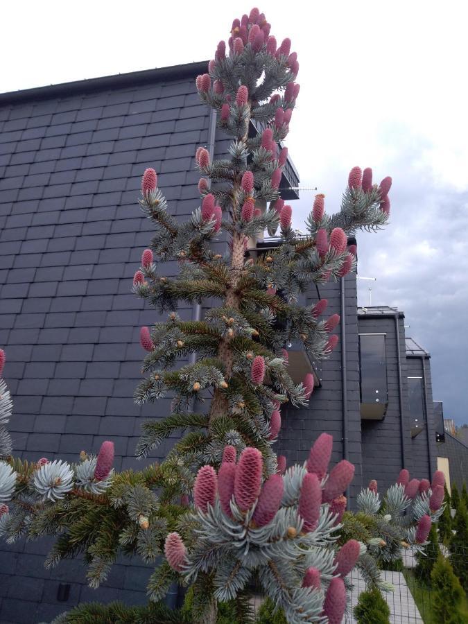 Nikolas Apartamentai - Birstono 7 ดรูซกินินไก ภายนอก รูปภาพ